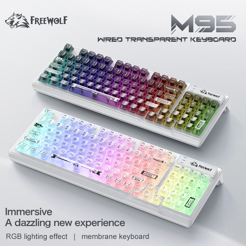 Wired RGB Transparent Keyboard - Anti-Ghosting Keyboard recension och pris